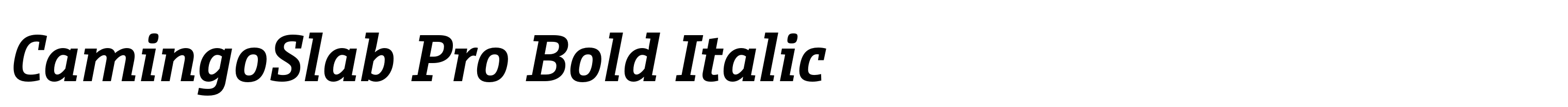 CamingoSlab Pro Bold Italic